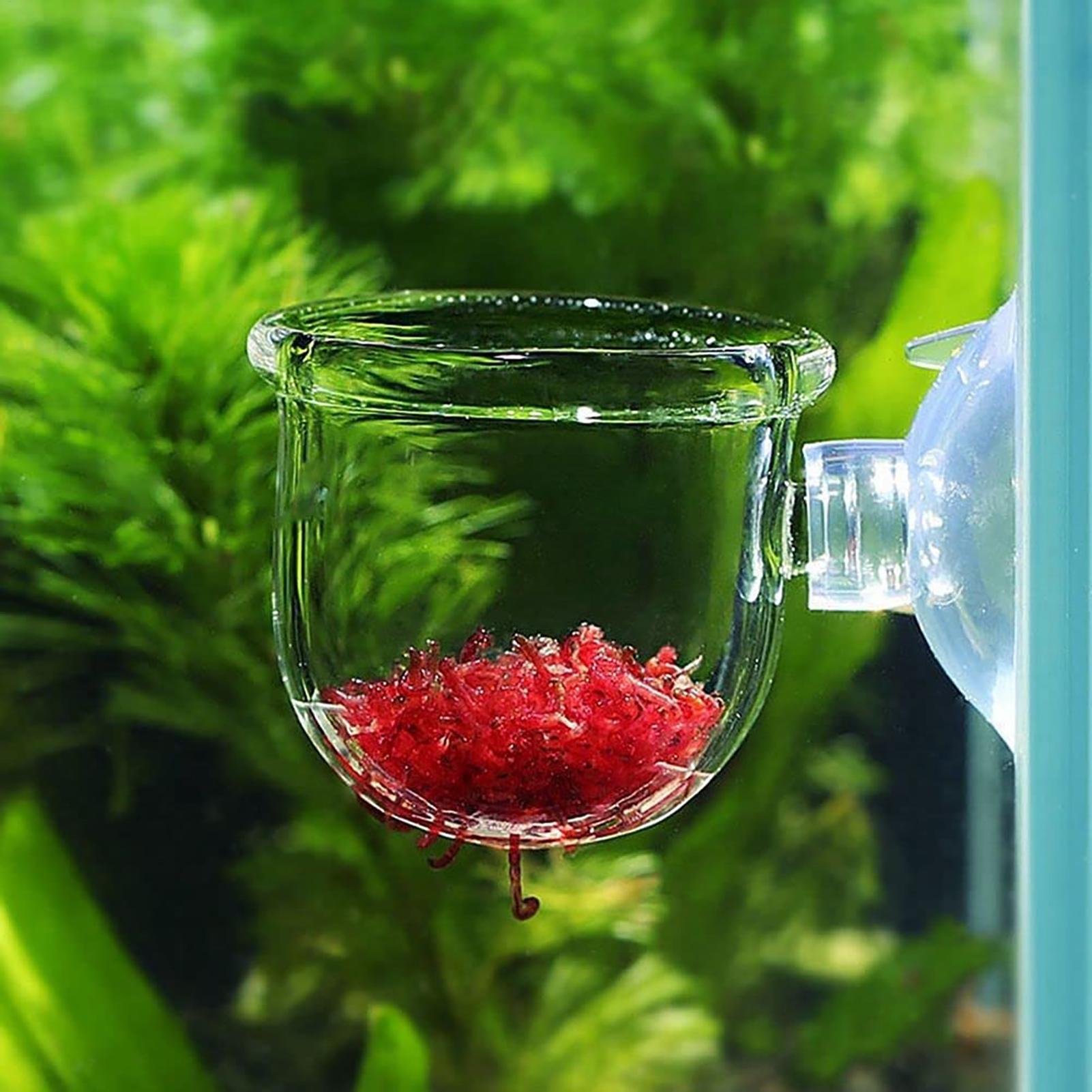 Aquarium Fish Beautiful - Plant Holder for Fish Tank Clear