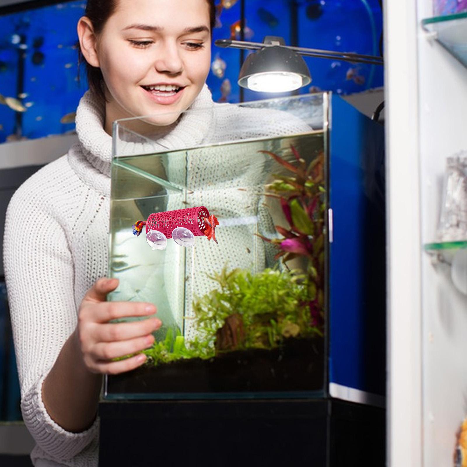 Betta Habitat Resting Shelter  - огляд і ціна Fish Toys For Aquarium