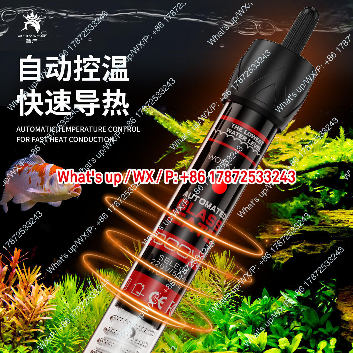 Export foreign trade 110V US s - огляд і ціна Aquarium Fish Exporter