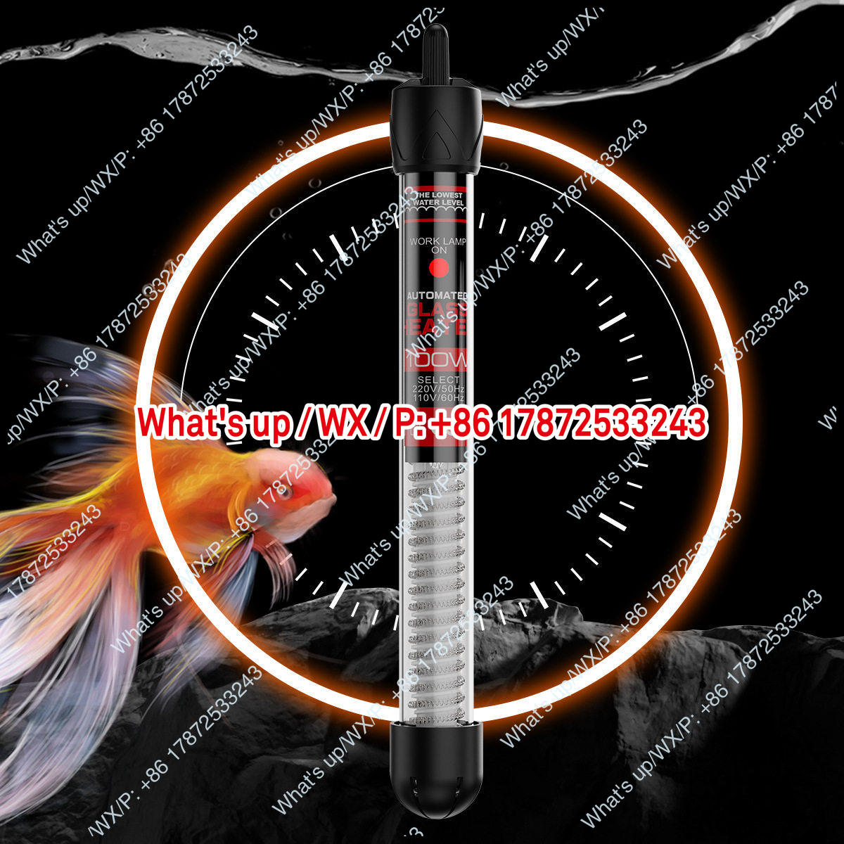 Export foreign trade 110V US s - огляд і ціна Aquarium Fish Exporter