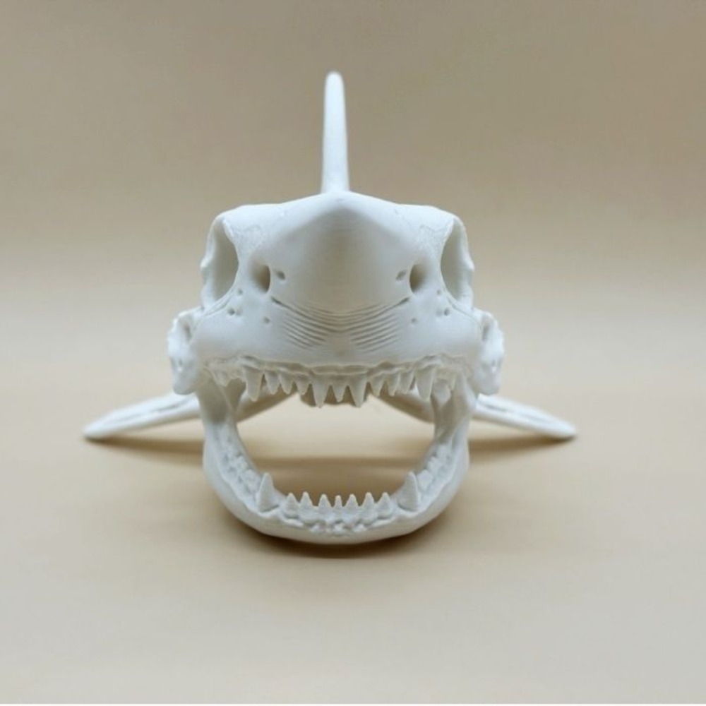 3D Printing Shark Skull Skelet - огляд і ціна Aquarium Fish Games