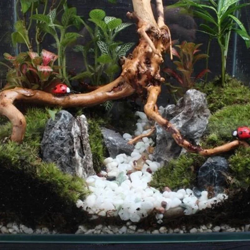 Natural Tree Trunk Driftwood A - огляд і ціна Aquarium Fish Games