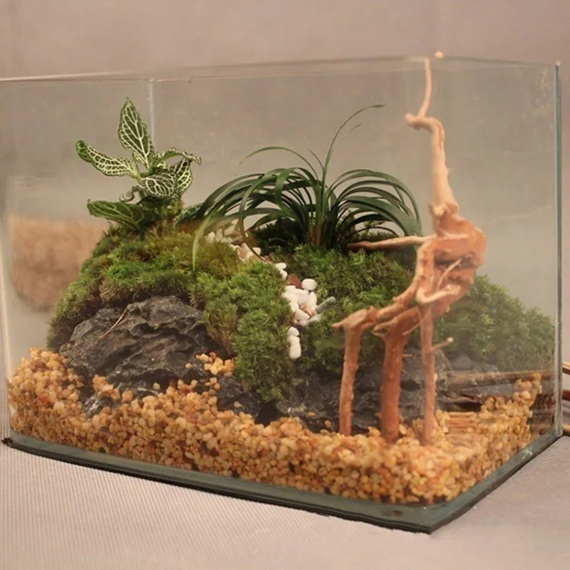 Natural Tree Trunk Driftwood A - огляд і ціна Aquarium Fish Games