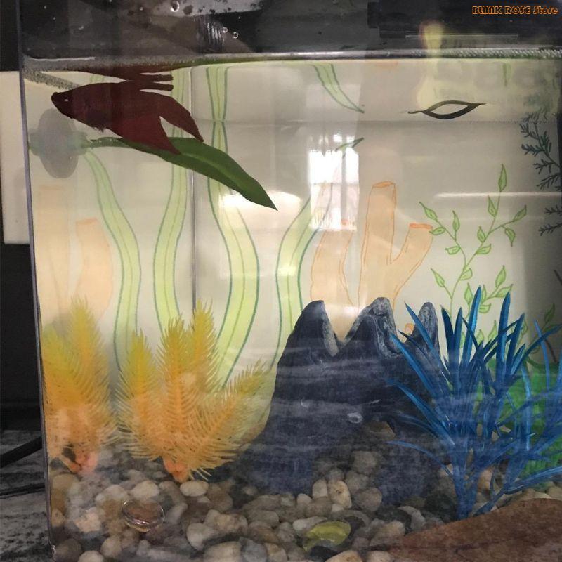 K1AE Plant Fish Bed for Fish T - огляд і ціна Aquarium Fish Beautiful
