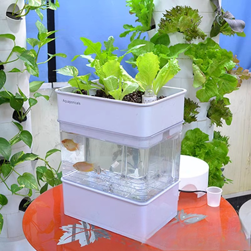 Export fish tank aquarium smal - огляд і ціна Aquarium Fish Exporter