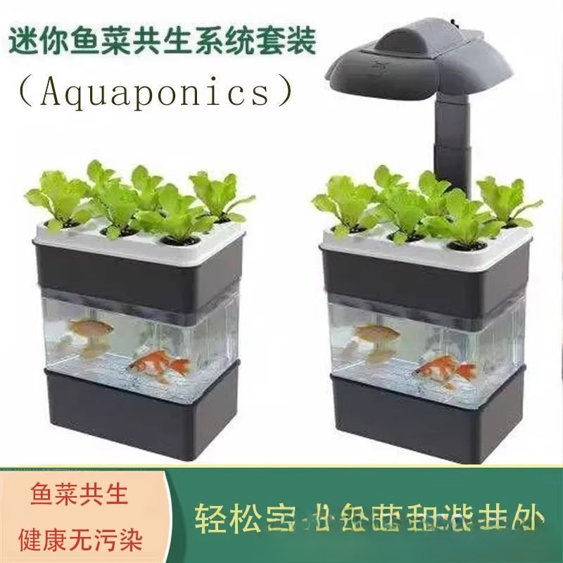 Export fish tank aquarium smal - огляд і ціна Aquarium Fish Exporter