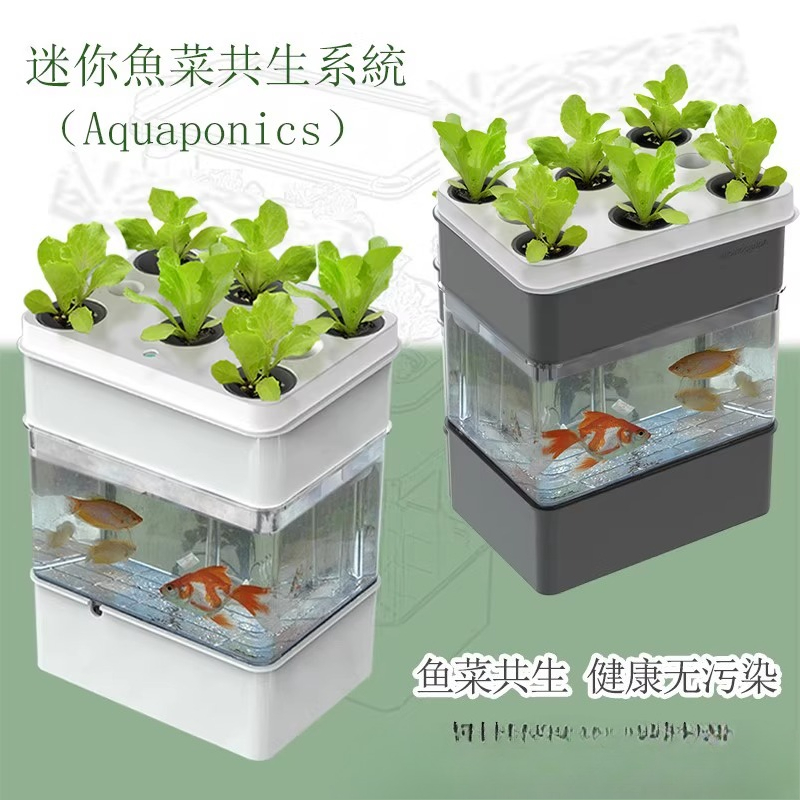 Export fish tank aquarium smal - огляд і ціна Aquarium Fish Exporter