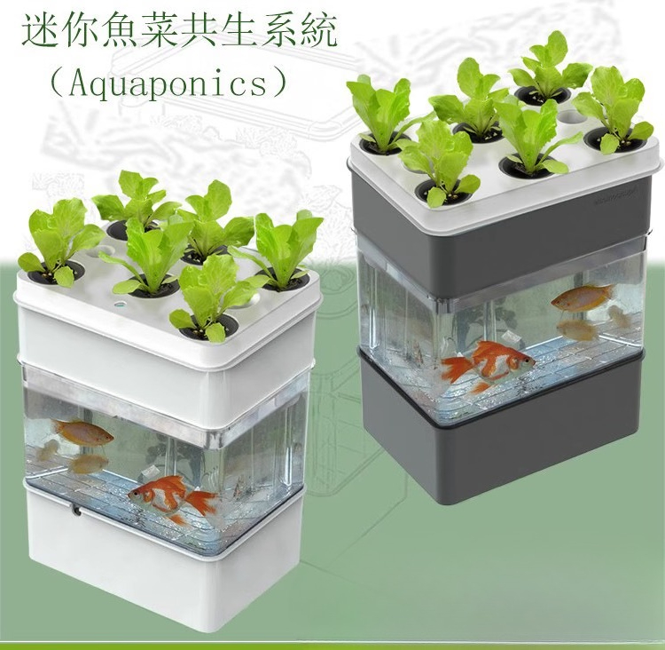 Export fish tank aquarium smal - огляд і ціна Aquarium Fish Exporter