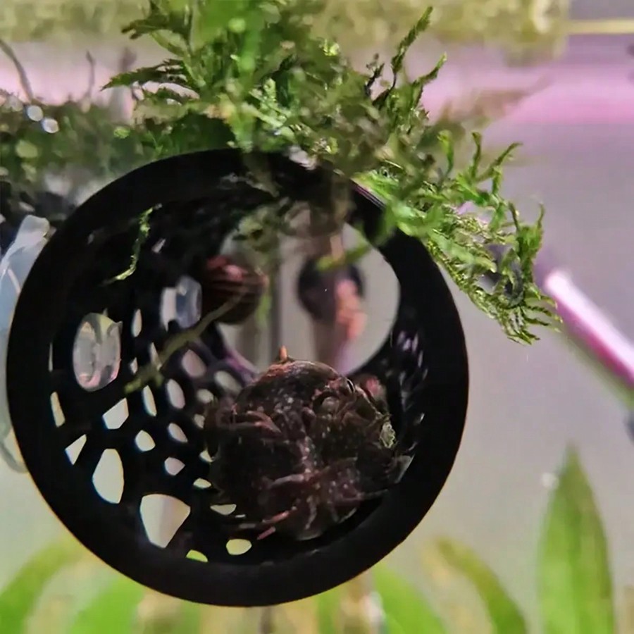 Betta Fish Hideout Hollow Tube - огляд і ціна Aquarium Fish Hiding Places
