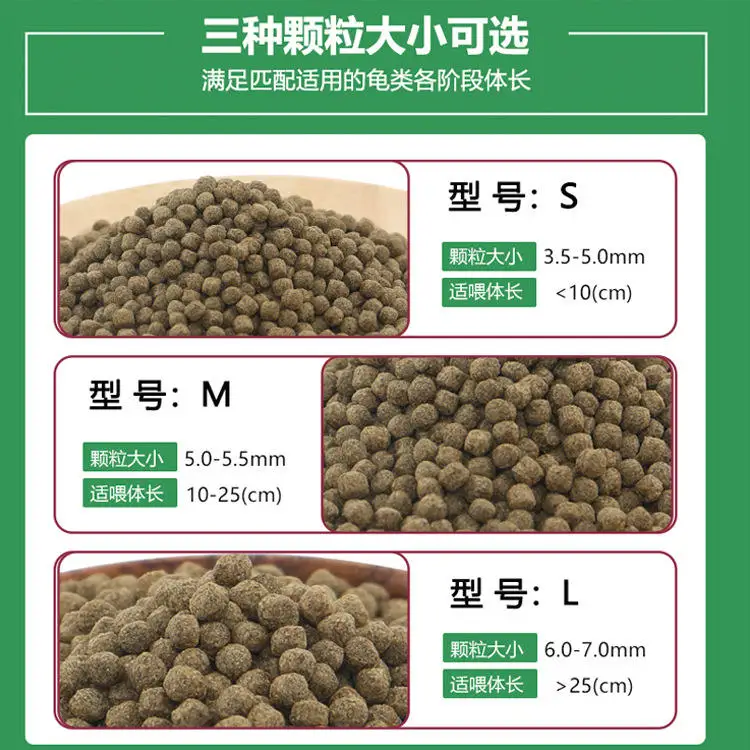 wholesale export high-quality  - огляд і ціна Aquarium Fish Exporter