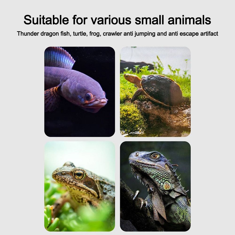 Durable Magnetic Fish Tank Lid - огляд і ціна Aquarium Fish Jumping