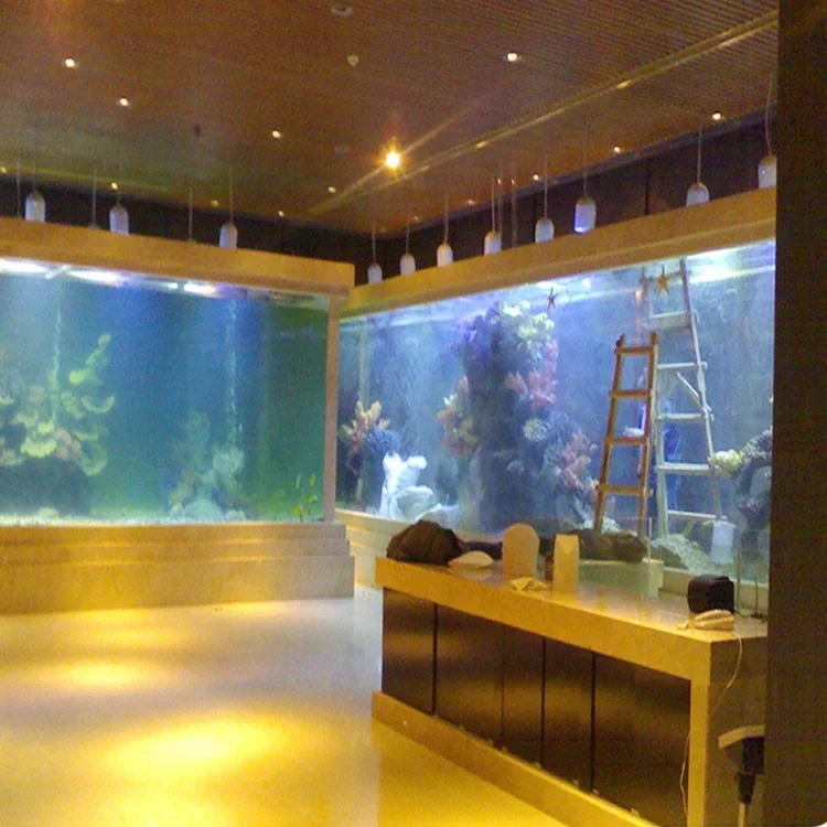 l Acrylic Big Fish Tank Rectan - огляд і ціна Aquarium Fish Big Size