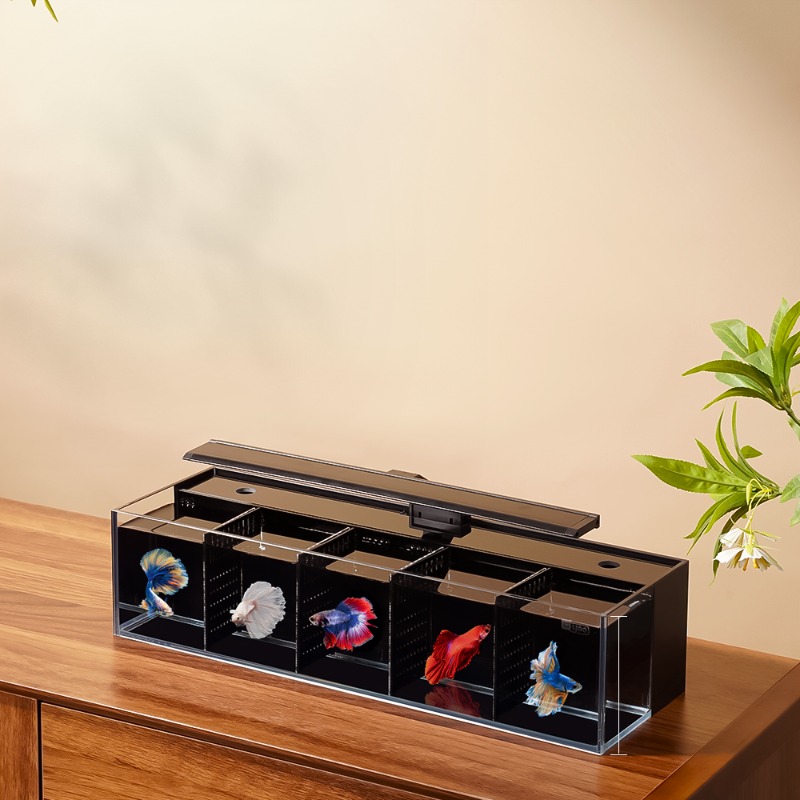 Douyu aquarium multi-grid comb - огляд і ціна Aquarium Fish Beautiful