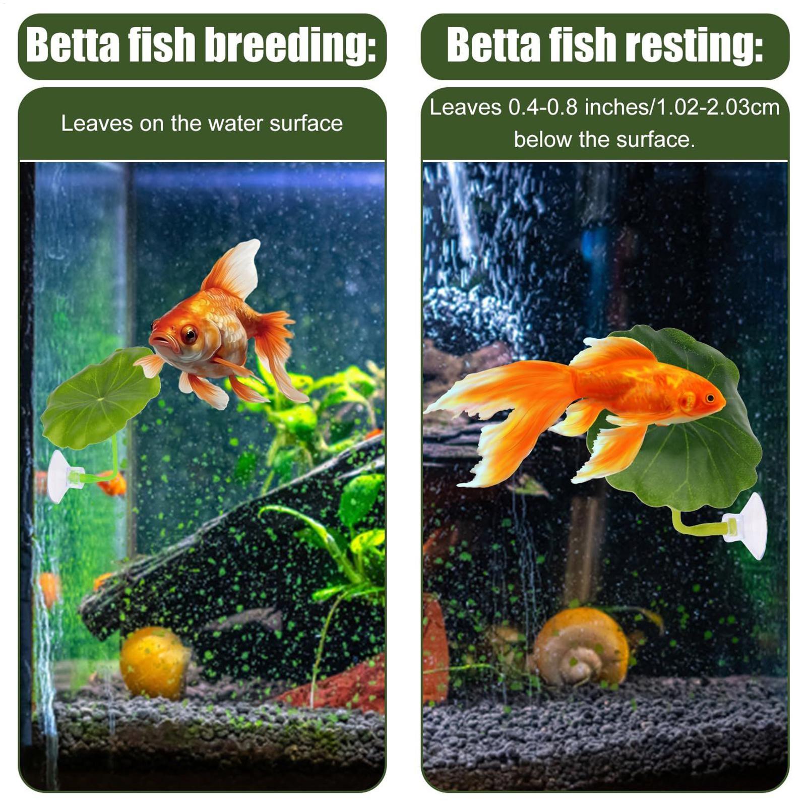 Betta Fish Hammock 5 Pieces Ad - огляд і ціна Fish Toys For Aquarium