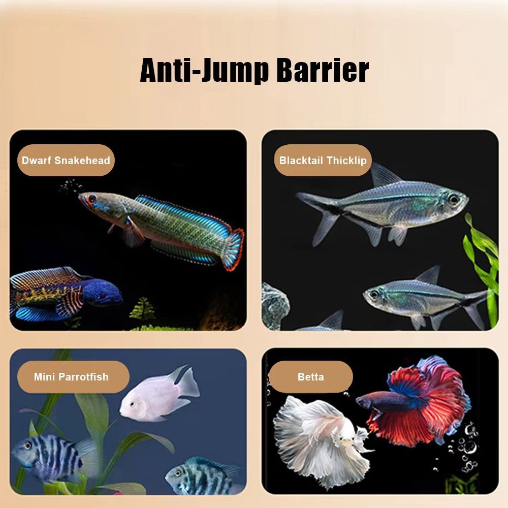 Durable Magnetic Fish Tank Lid - огляд і ціна Aquarium Fish Jumping