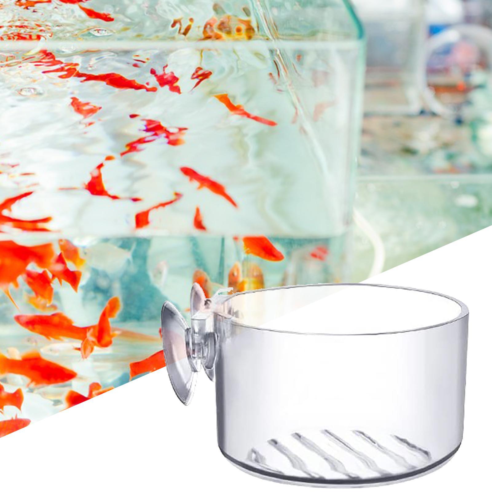 Suction Aquarium Plant Holder  - огляд і ціна Aquarium Fish Beautiful