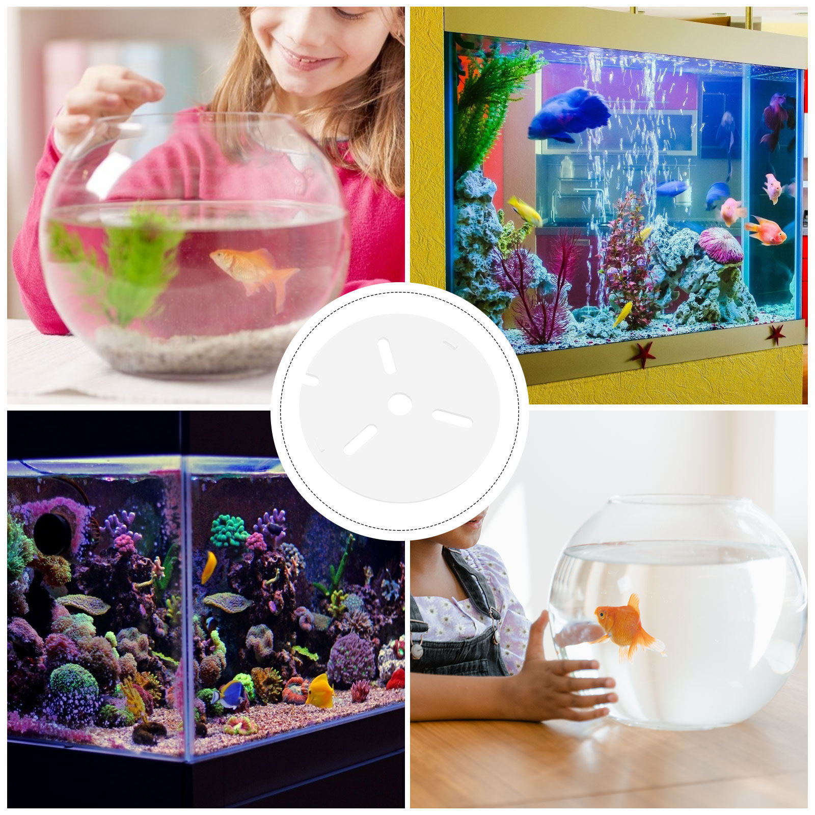 Clear Acrylic Aquarium Lid Ant - огляд і ціна Aquarium Fish Jumping