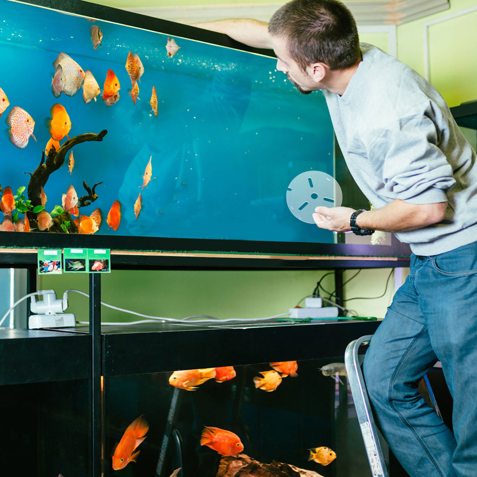 Clear Acrylic Aquarium Lid Ant - огляд і ціна Aquarium Fish Jumping
