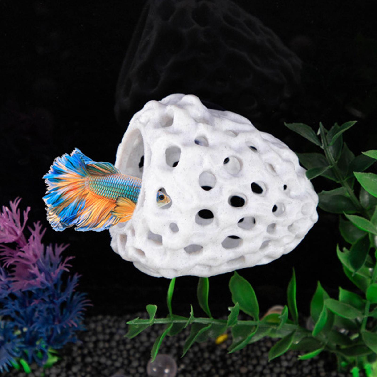 Aquarium shrimp house Cave Min - огляд і ціна Aquarium Fish Games