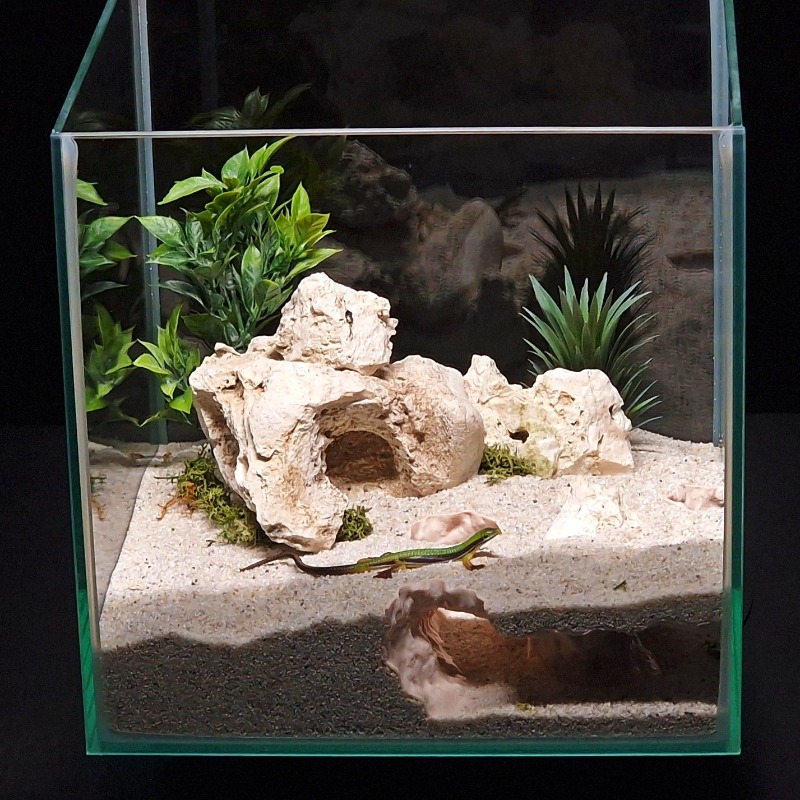 3DPrinted Fish Tank Tunnel She - огляд і ціна Aquarium Fish Hiding Places