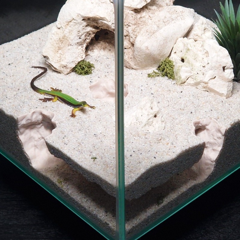 3DPrinted Fish Tank Tunnel She - огляд і ціна Aquarium Fish Hiding Places