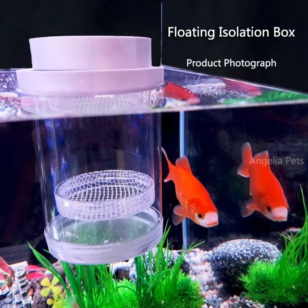 Plastic Floating Fish Breeding - огляд і ціна Aquarium Fish Auto Feeder