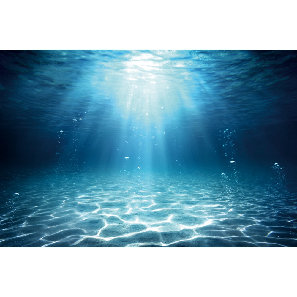 Underwater World Seabed Photog - огляд і ціна Aquarium Fish Of The World