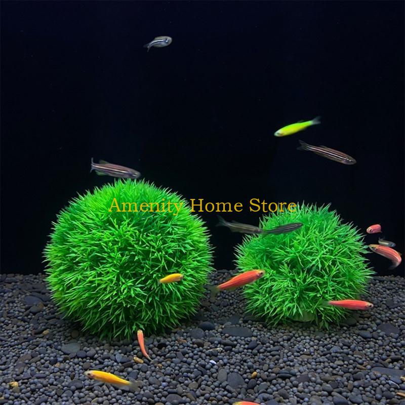 F26C Aquatic Plants Marimo for - огляд і ціна Aquarium Fish Beautiful