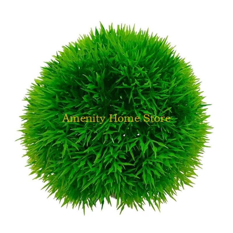 F26C Aquatic Plants Marimo for - огляд і ціна Aquarium Fish Beautiful