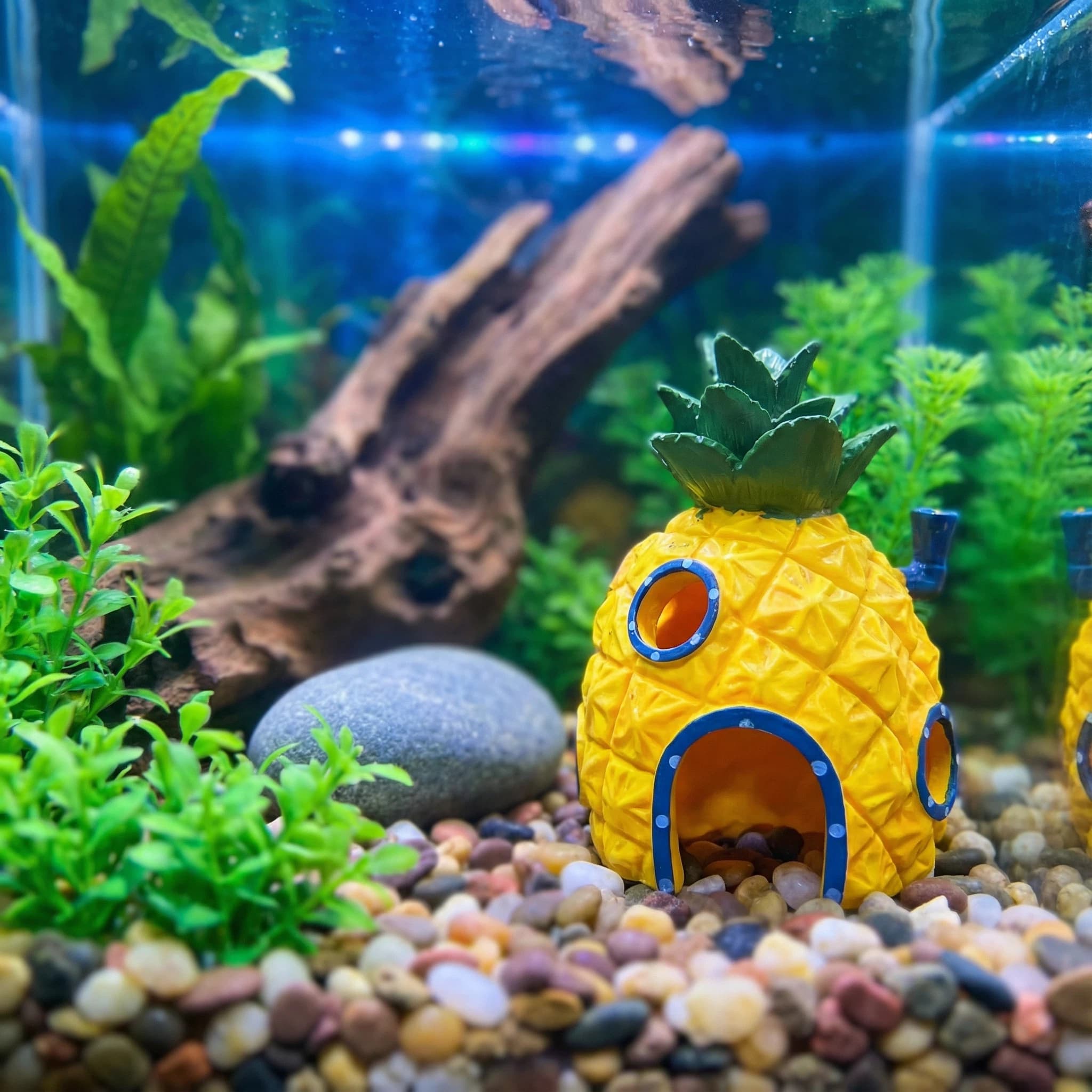 Pineapple House Aquarium Decor - огляд і ціна Aquarium Fish Hiding Places