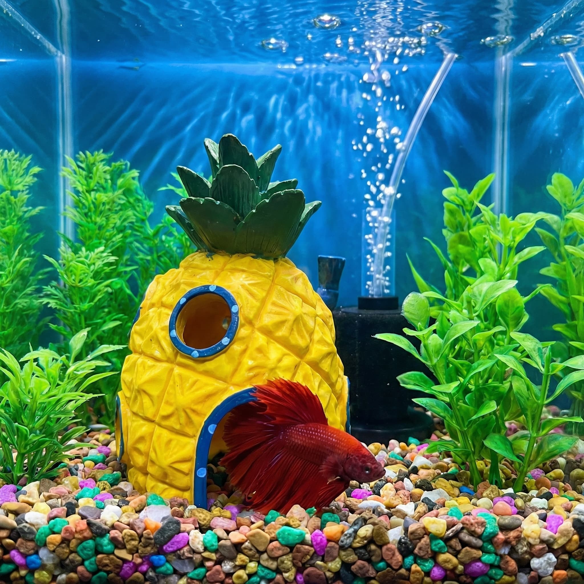 Pineapple House Aquarium Decor - огляд і ціна Aquarium Fish Hiding Places