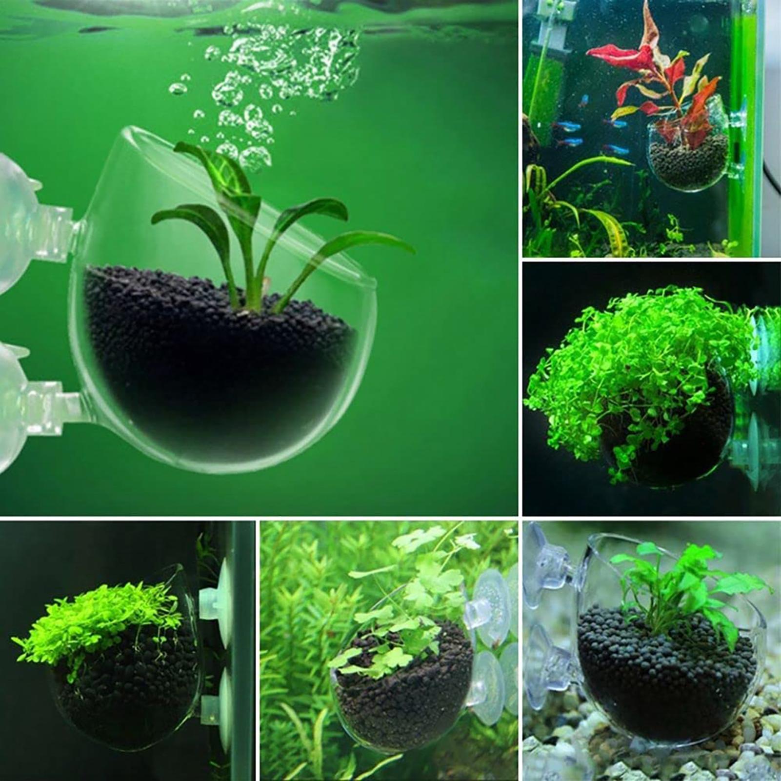Aquarium Decoration Plant Cup  - огляд і ціна Aquarium Fish Beautiful