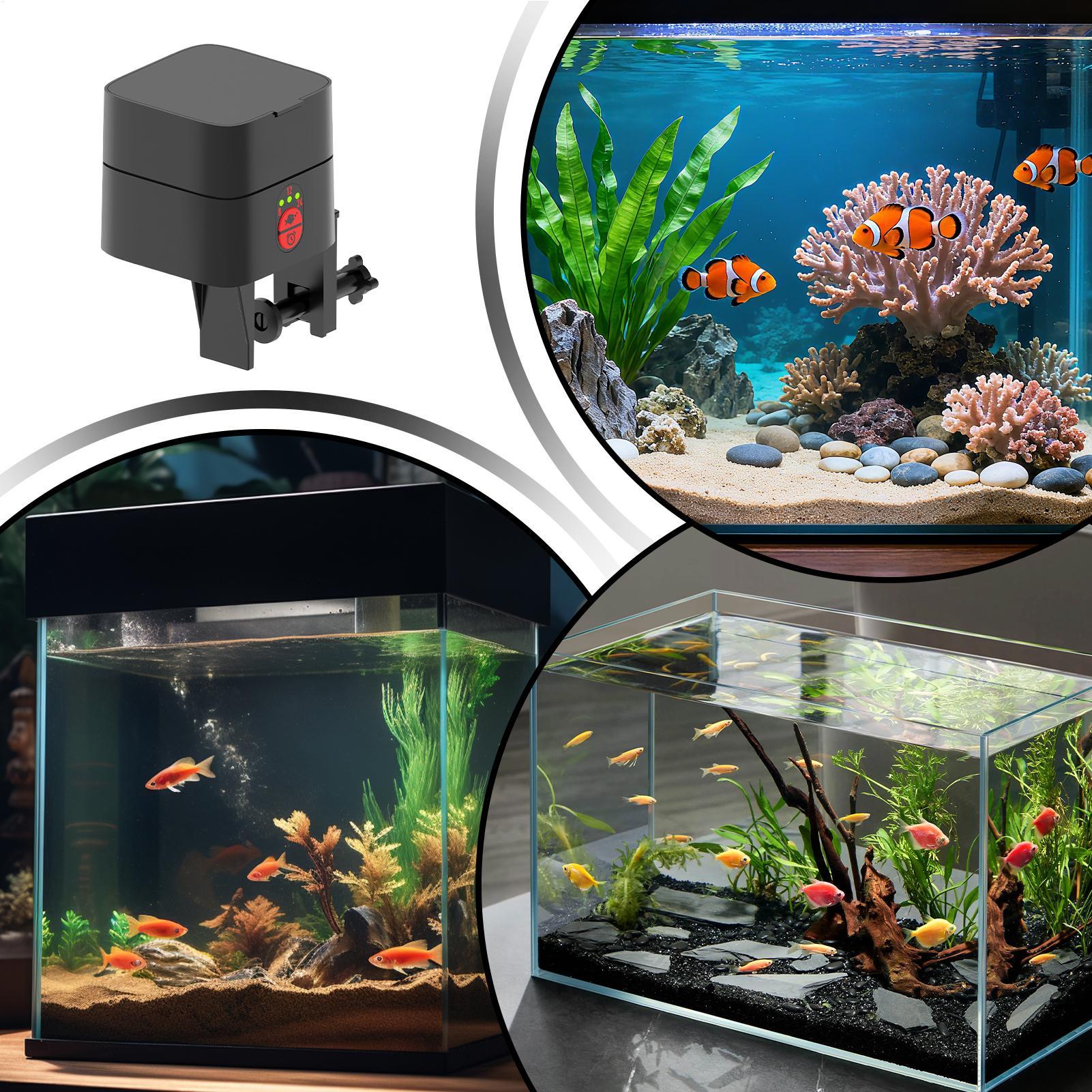 Auto Fish Feeder For Aquarium  - огляд і ціна Aquarium Fish Auto Feeder