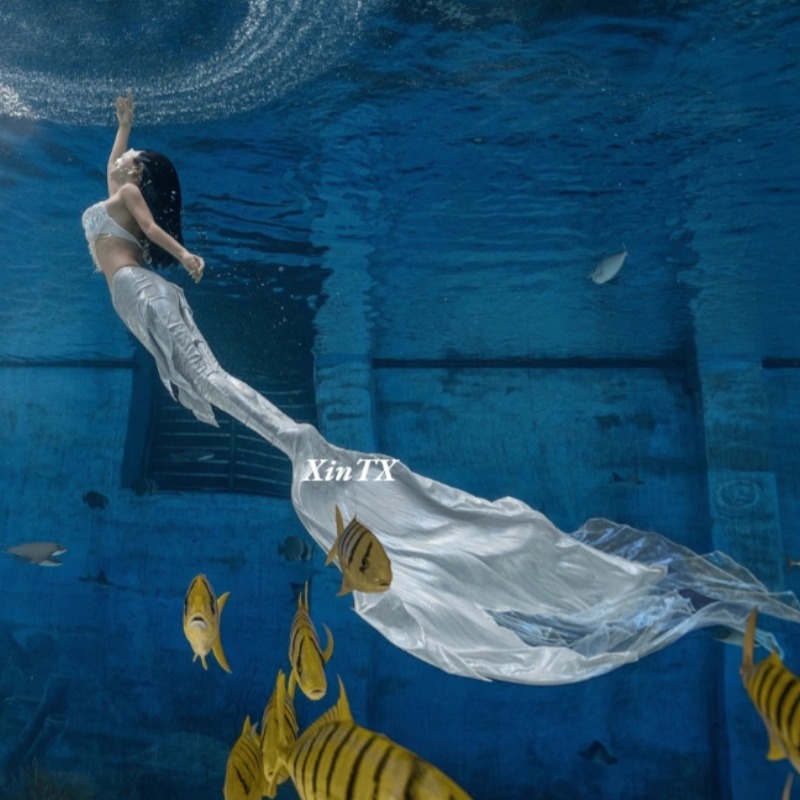 Adult Parent Girls Professiona - огляд і ціна Aquarium Fish Big Size
